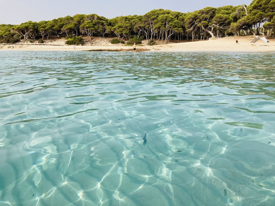 Strand Mar Azul PurEstil Hotel & Spa