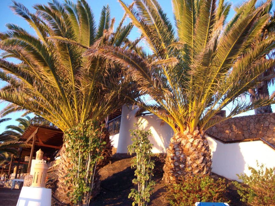 Gartenanlage Club Jandia Princess