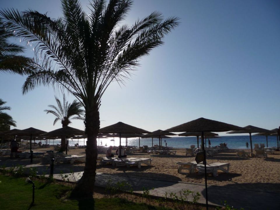 Beach! Fort Arabesque Resort, Spa & Villas