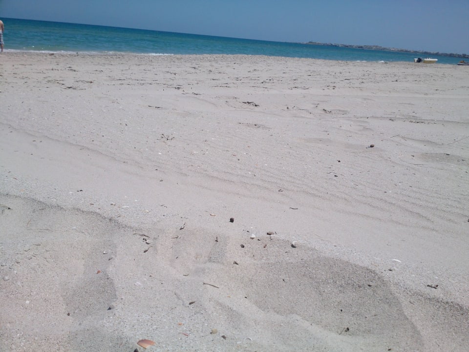 Strand wurde immer sauber gemacht El Mehdi Beach Resort