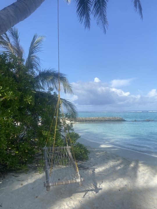 Strand Summer Island Maldives