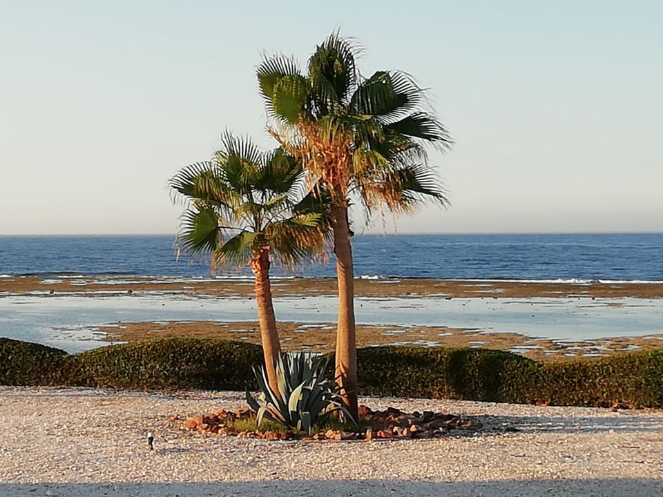 Strand Mövenpick Resort El Quseir