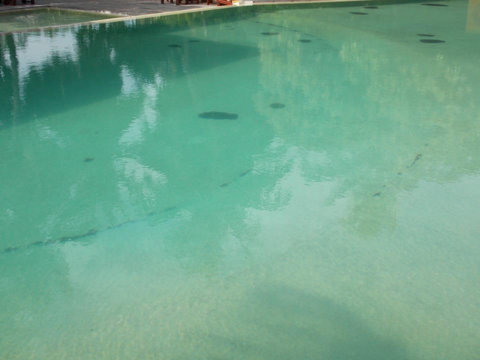 Defekter Pool Adaaran Select Hudhuran Fushi - Premium All Inclusive