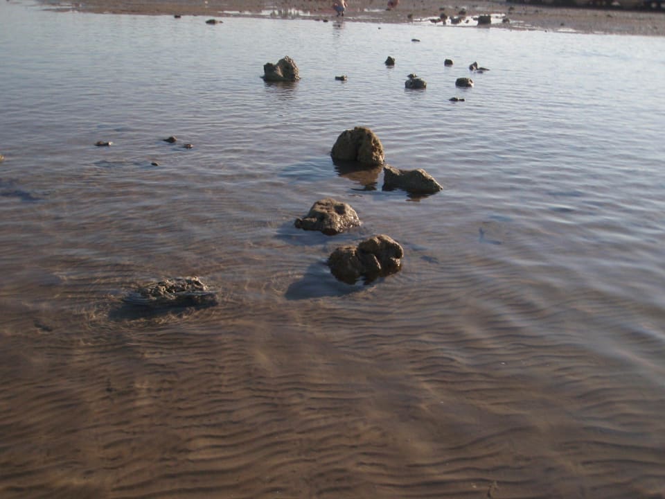 Sandbank Pickalbatros Dana Beach Resort - Hurghada