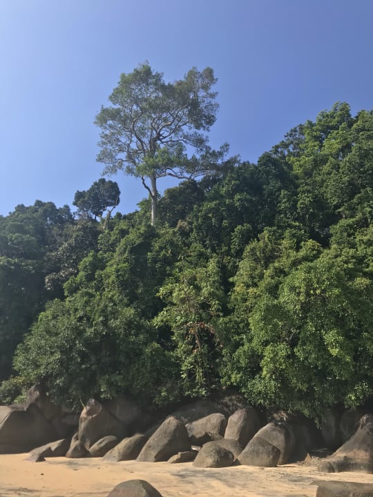 Strand Hive Khaolak Beach Resort