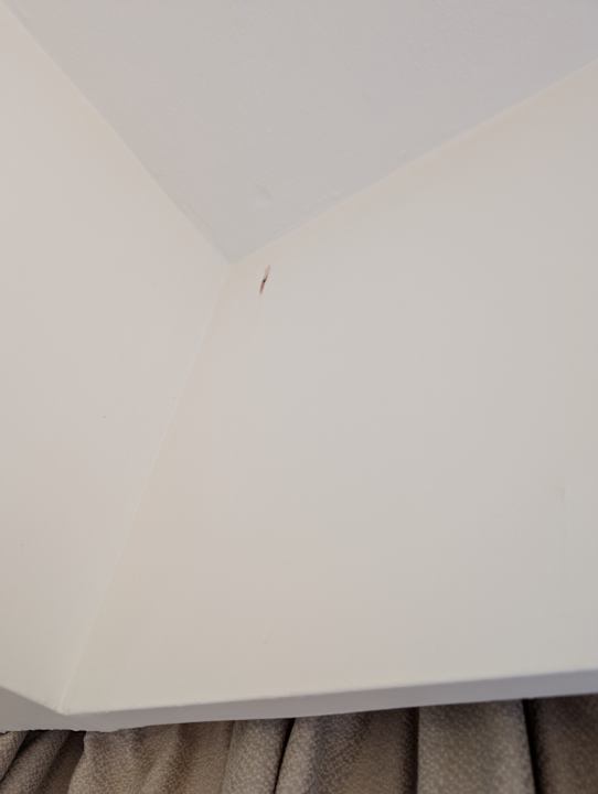 Zimmer Olympian Bay Grand Resort