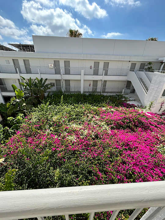 Gartenanlage Hotel Nissi Park