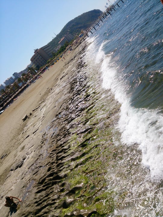 Nicht schön Dizalya Palm Garden