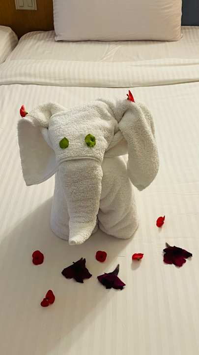 Sonstiges Pharaoh Azur Resort