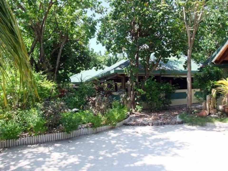 Im Inselinneren Eri Maldives