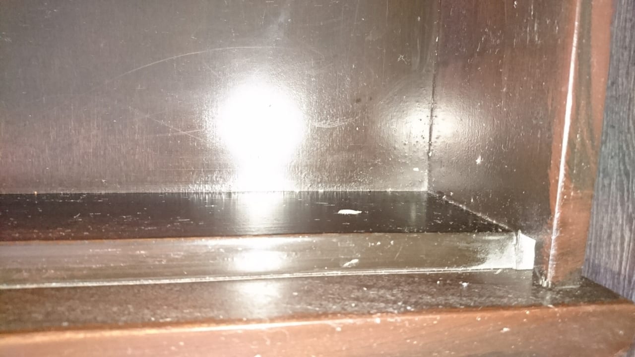 Zimmer Asteria Collection Side