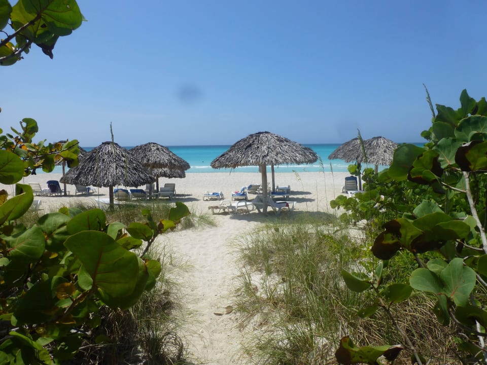 Feinsandig, weiß, flachabfallend, gut gereinigt Sol Hicacos Varadero