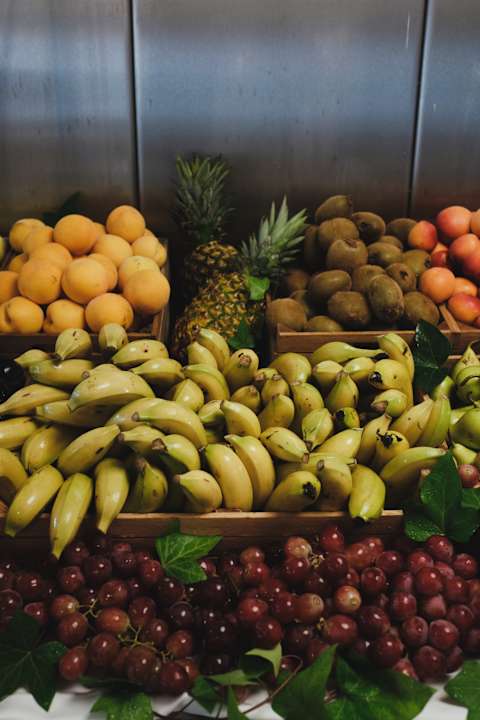 Gastro Prinsotel La Pineda