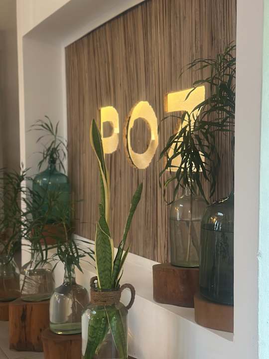 Sport & Freizeit Lagoon Attitude - Adults only