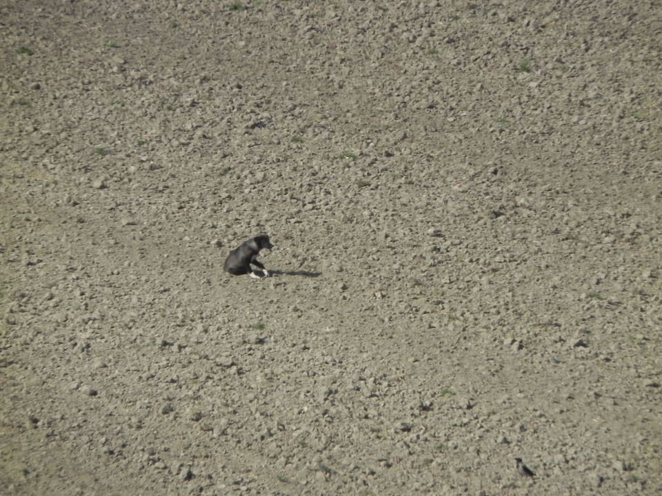 Das ist nicht die Wüste, es ist die Aussicht Grand Park Lara Hotel