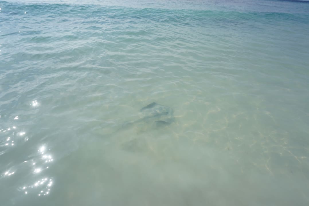 Strand Akumal Bay Beach & Wellness Resort