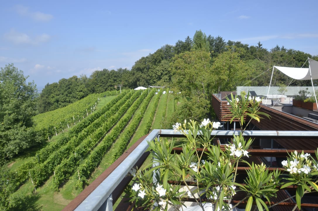 Ausblick Weingartenhotel Harkamp