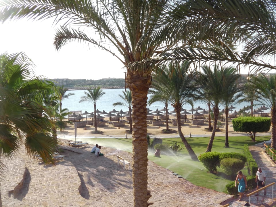 Ausblick  Steigenberger Coraya Beach - Adults only