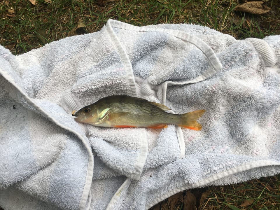 Sport & Freizeit Ferienpark Klein Vink