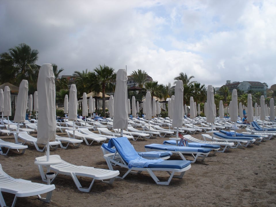 Saubere Liegen und Schirme Saphir Resort & Spa