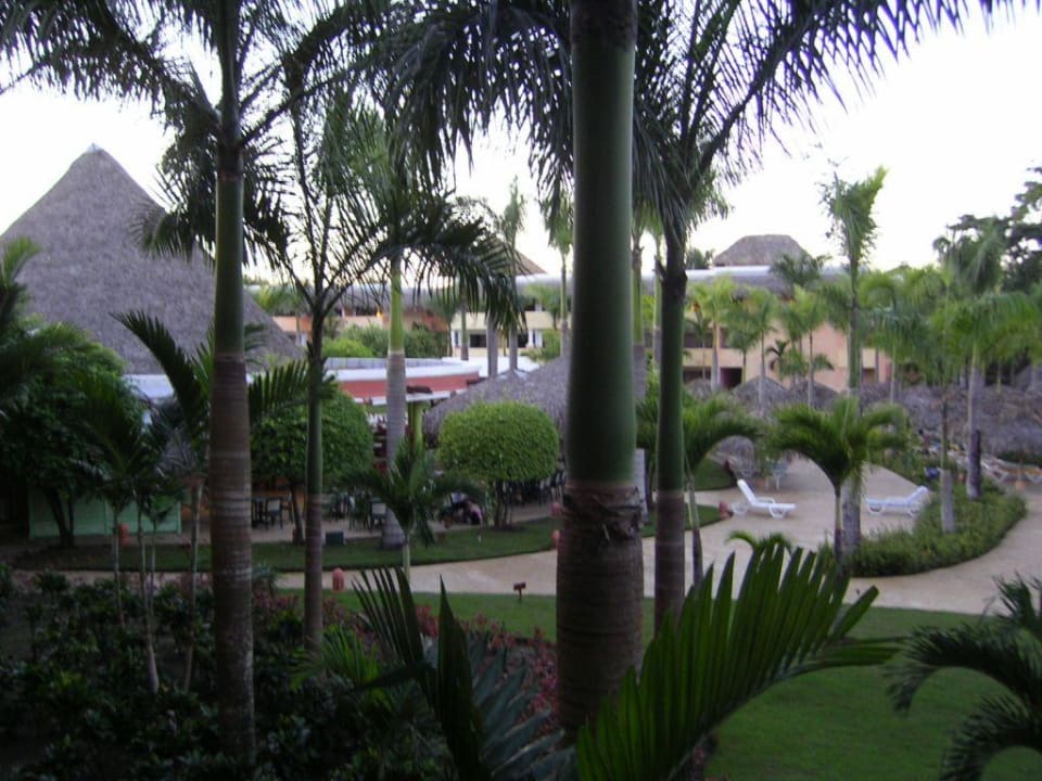Balkonblick - Garten Iberostar Waves Costa Dorada