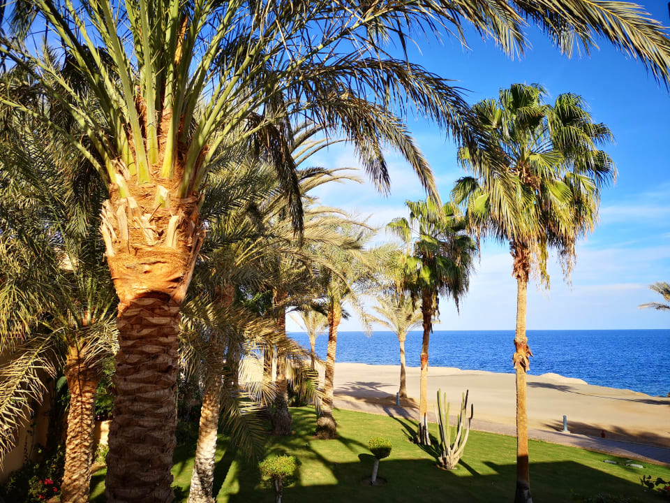 Ausblick Steigenberger Coraya Beach - Adults only