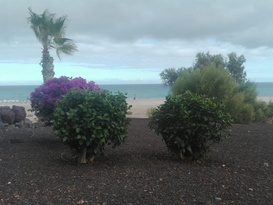 Ausblick Iberostar Selection Fuerteventura Palace