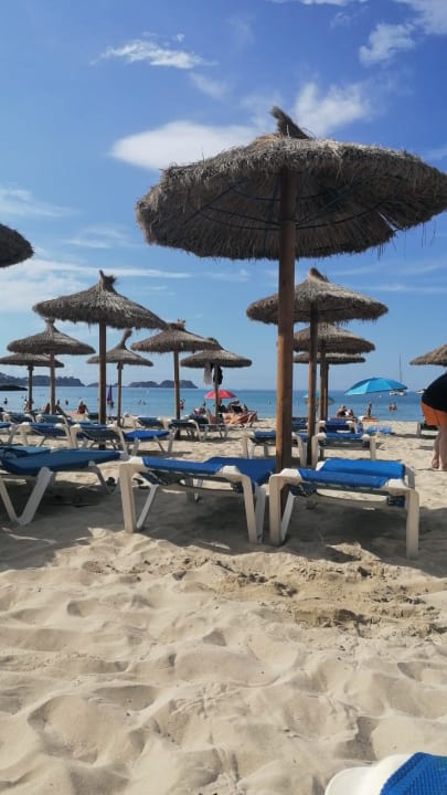 Strand allsun Hotel Paguera Park