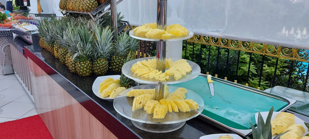 Gastro Hotel Delphin Diva