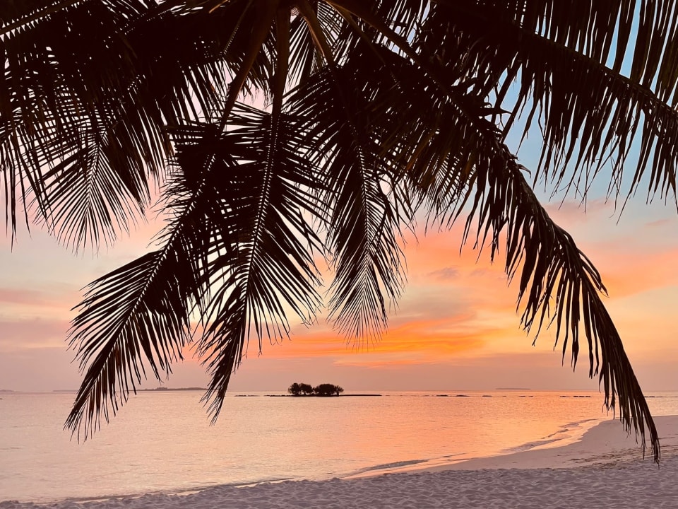 Strand ROBINSON NOONU