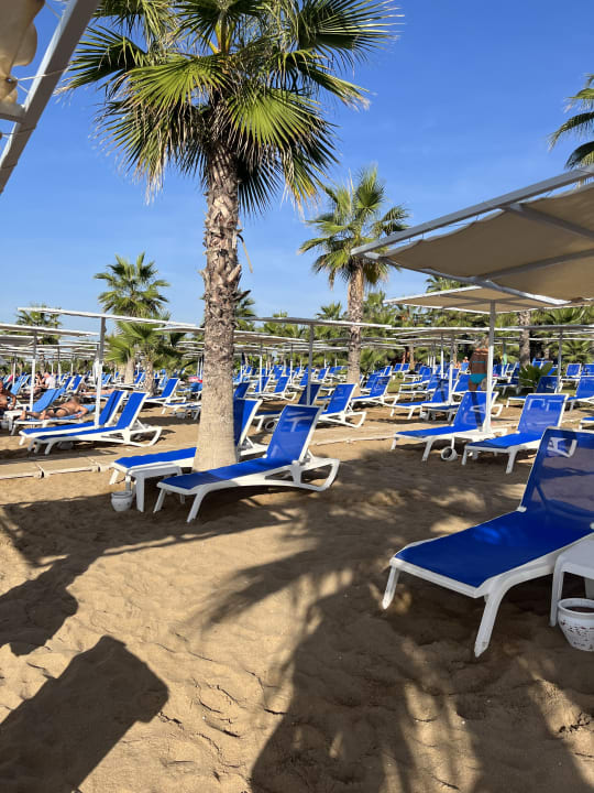 Strand Hotel Süral Resort