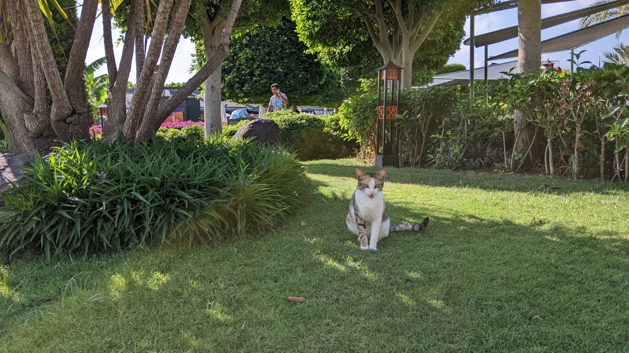 Gartenanlage Limak Lara Deluxe Hotel & Resort