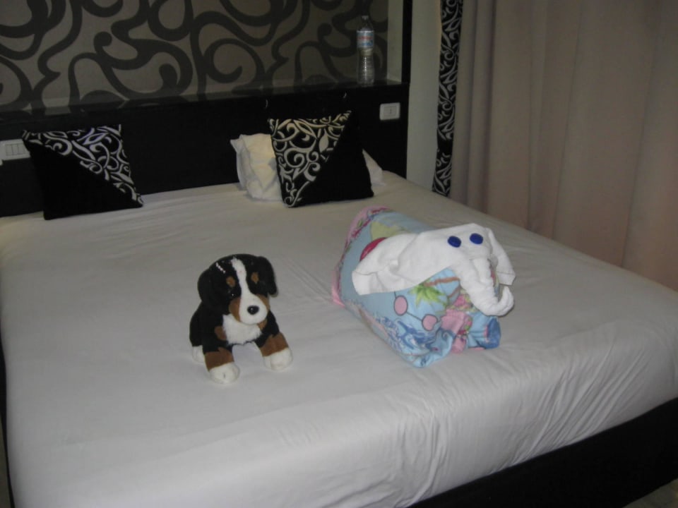 Fast jeden Tag was anderes Panorama Bungalows Resort El Gouna