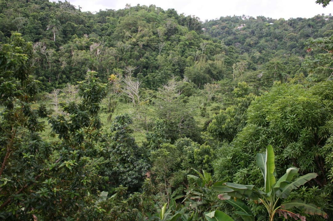 Ausblick vom Eingang Bayview Eco Resort