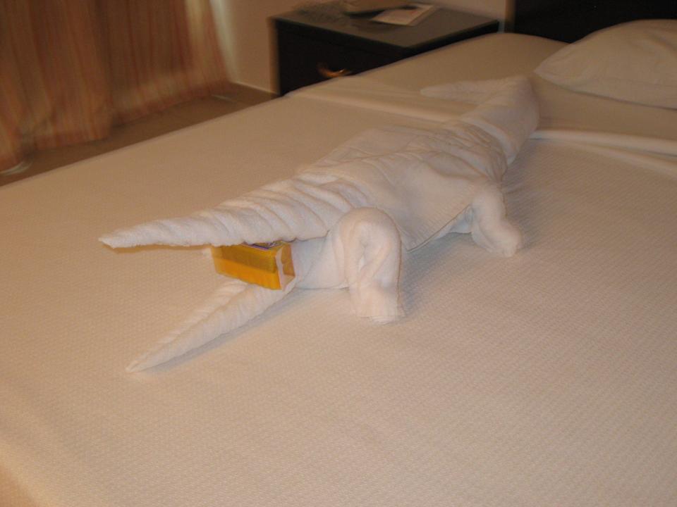 Bis ich die Tuc wieder hatte Schade um die Kunst Menaville Safaga