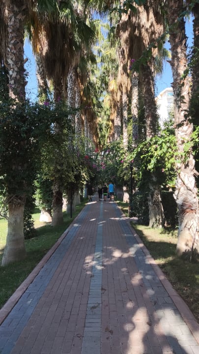 Gartenanlage Hotel Gardenia Beach