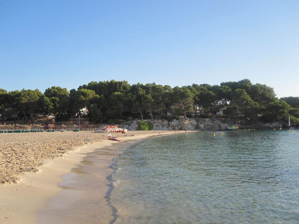 Strandbild Iberostar Waves Pinos Park