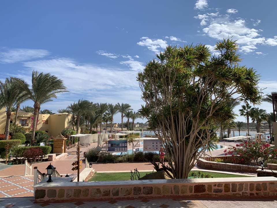 Gartenanlage Steigenberger Coraya Beach - Adults only