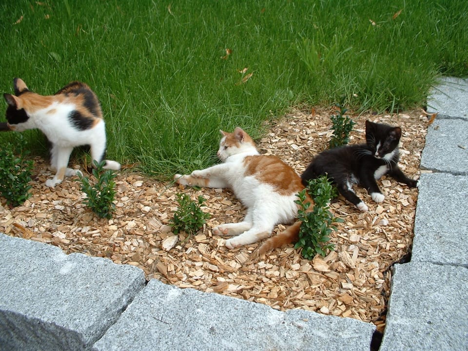 Sonstiges Fischerhof - Urlaub auf dem Bauernhof