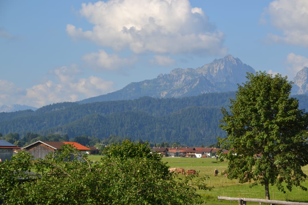 Ausblick Gästehaus Stefanie