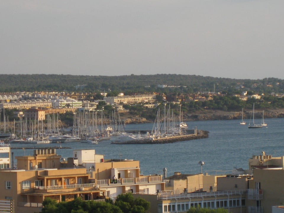 Aus der 9. Etage Blick nach Arenal Hotel Timor