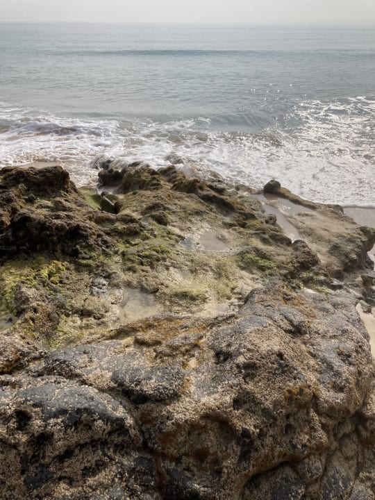 Strand TUI MAGIC LIFE Fuerteventura