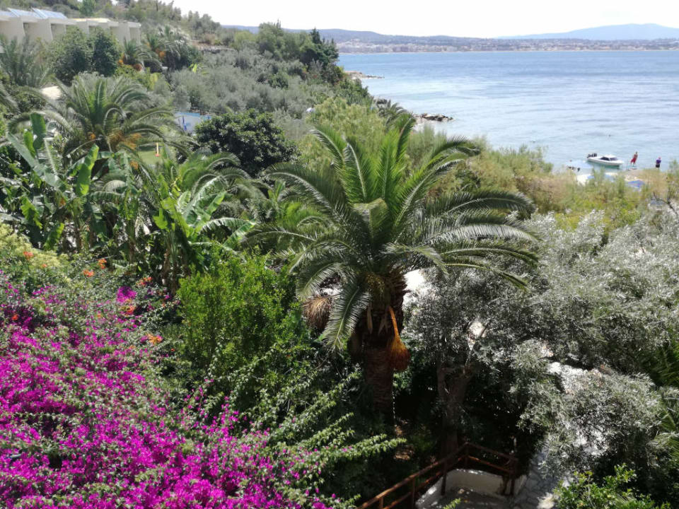 Widok z pokoju na stronę wschodnią Hotel Pappas