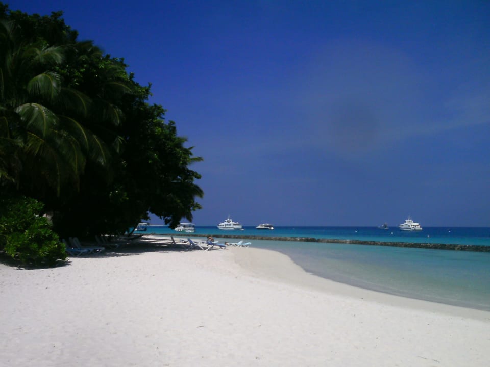 Strandabschnitt Gartenvilla 10 Kuramathi Maldives