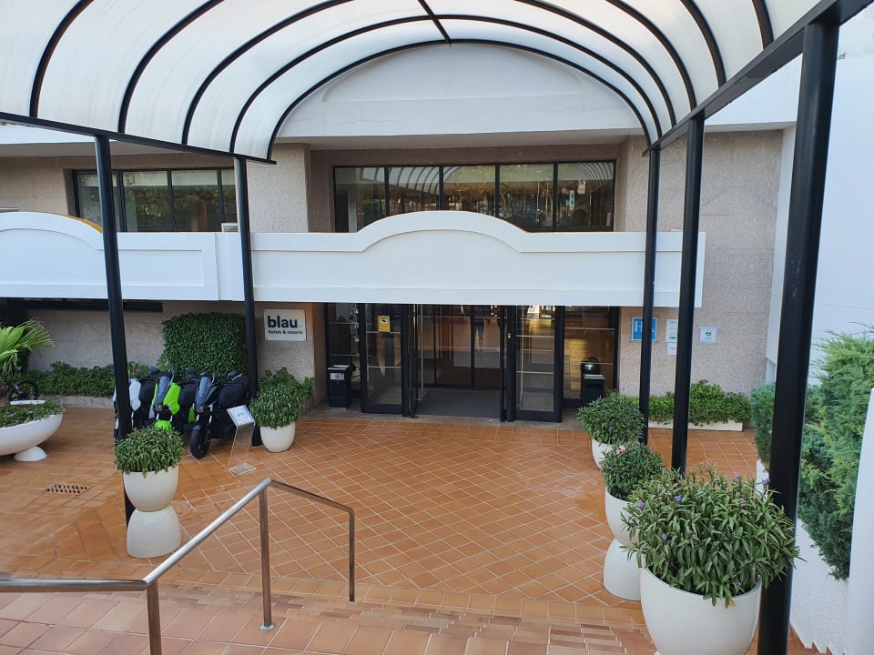 Lobby blau punta reina