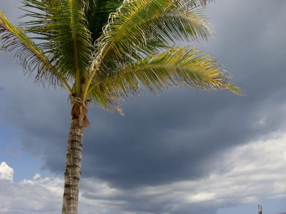 Sturm Catalonia Royal Tulum Beach & Spa Resort - Adults only