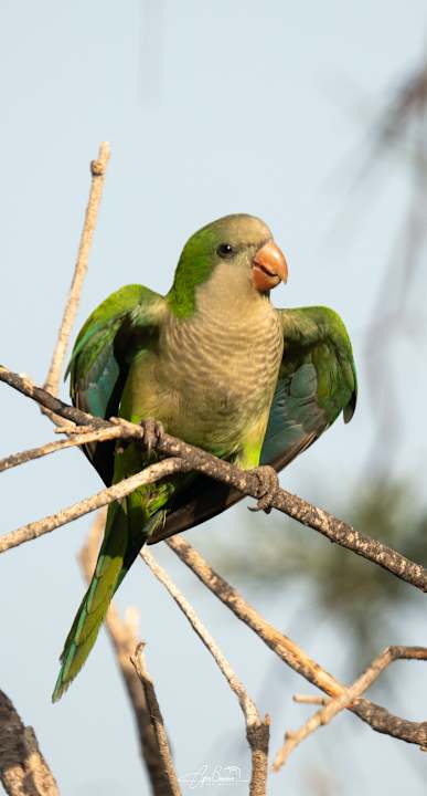 Sport & Freizeit allsun Hotel Esplendido