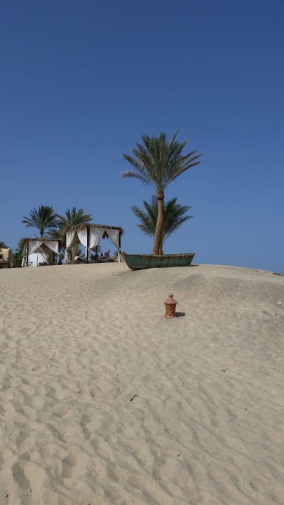 Weg zum Strand! Steigenberger Coraya Beach - Adults only