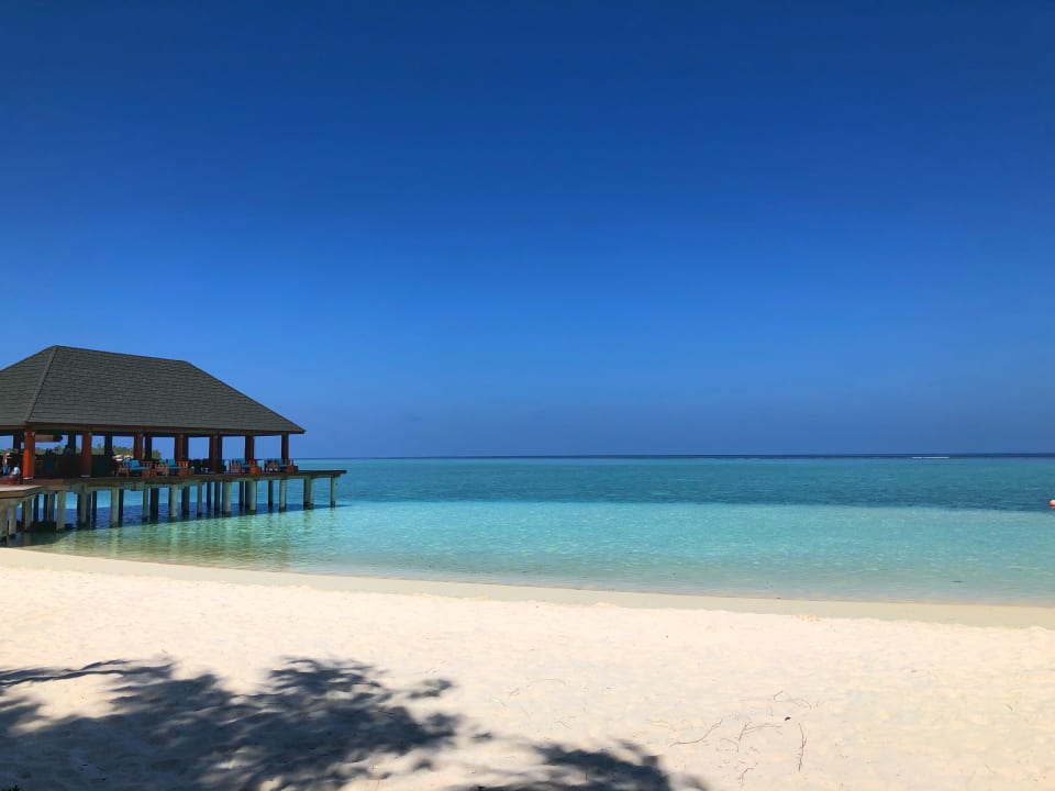 Strand Summer Island Maldives