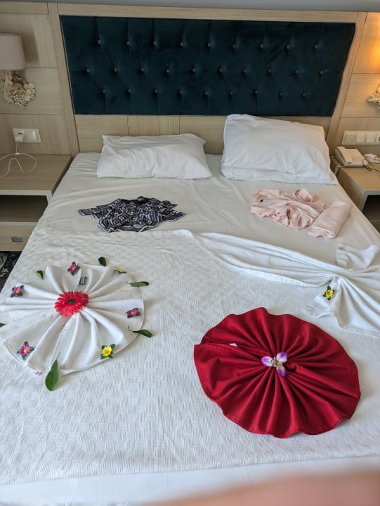 Zimmer Dream World Palace Hotel